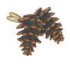 Pinecone Lodge Shower Curtain Rings